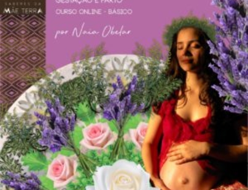 Ginecologia Natural na Gestação